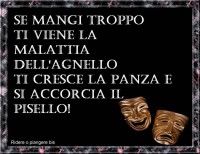 /album/lunavideochat/a534156-431549073543150-157837125-n-jpg/