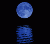 /album/lunavideochat/a217xx3al1-gif/