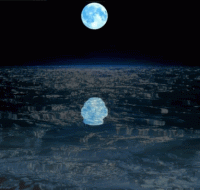 /album/lunavideochat/luna-acqua-gif/